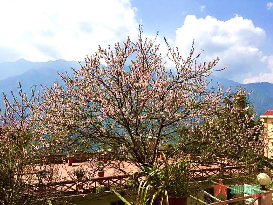 Mâm cơm chiều 30 Tết