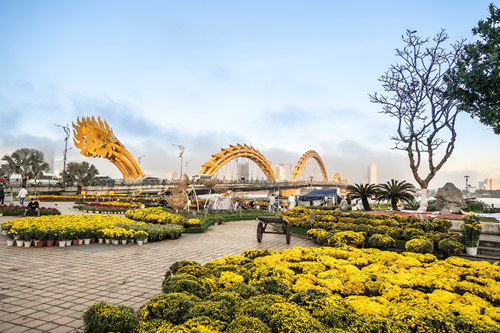 Đà Nẵng có 9 điểm trang trí đường hoa xuân