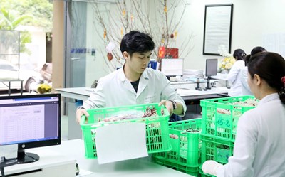 国立血液研究所 – 輸血は緊急時の血液供給を提供します