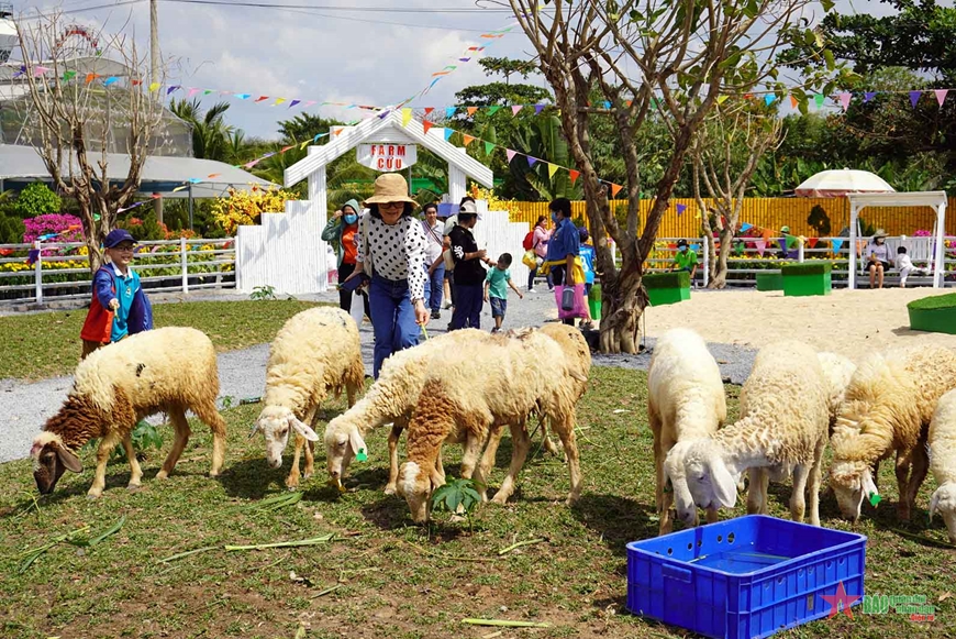 Đặc sắc lễ hội mùa xuân năm Quý Mão tại Suối Tiên