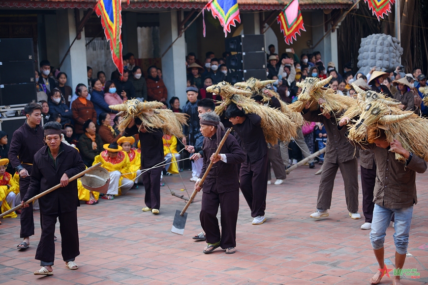 Trâu rơm, bò rạ - Lễ hội mang nét đặc trưng của cư dân lúa nước