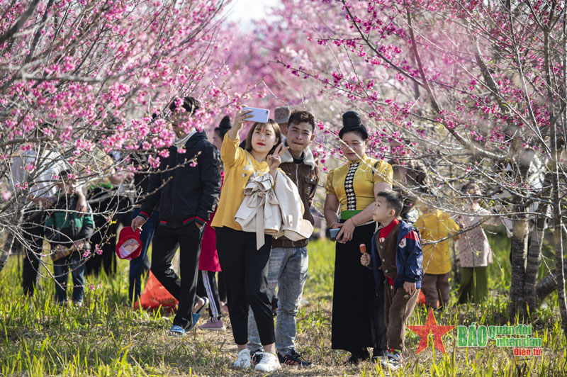 Rộn ràng sắc xuân Tây Bắc                                                          