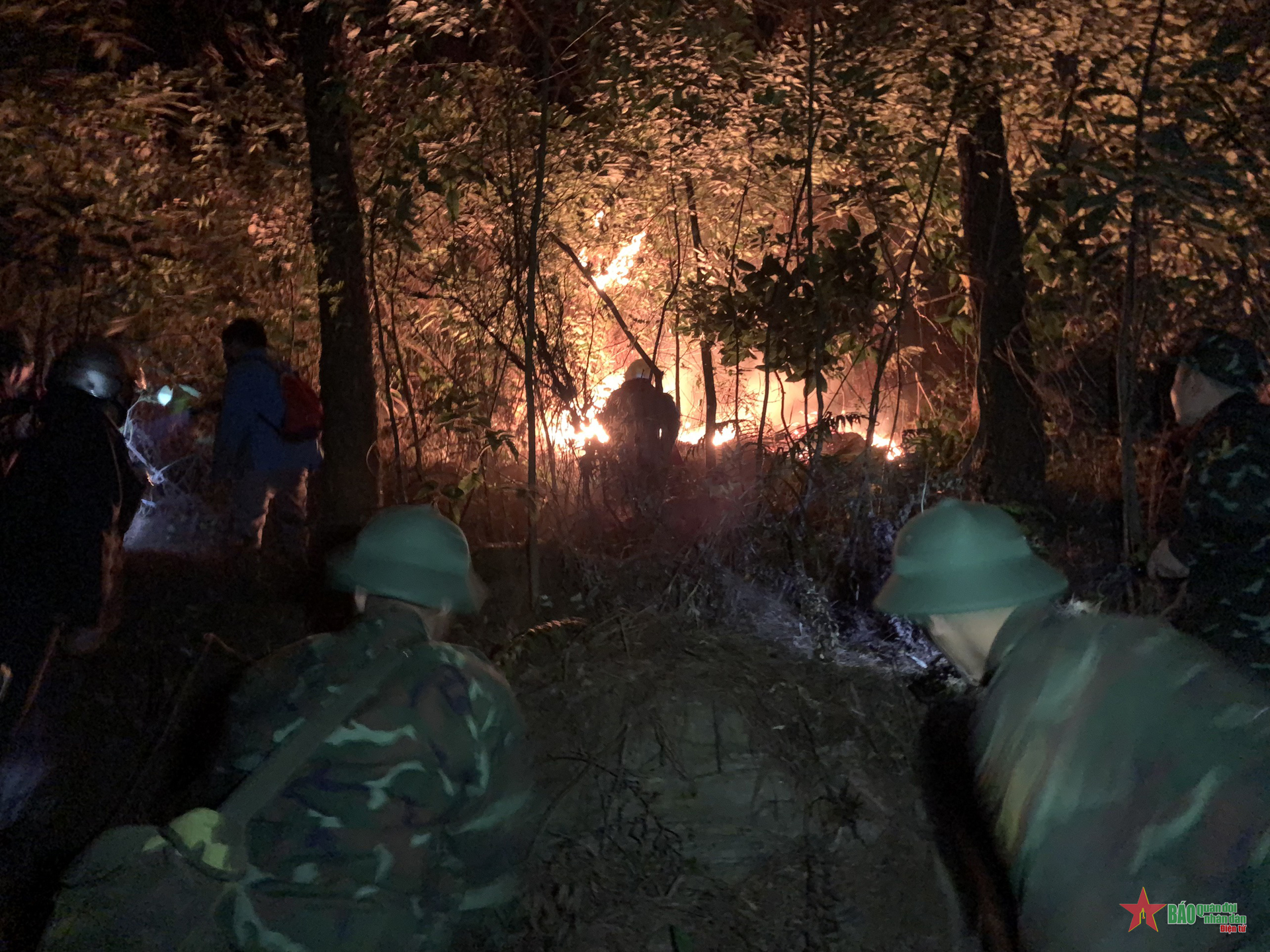 Cán bộ, chiến sĩ Lữ đoàn 86, Binh chủng Hóa học dập lửa cứu rừng phòng hộ