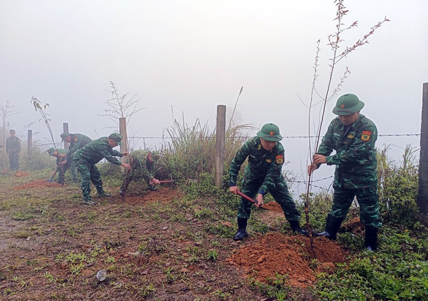 Các địa phương, đơn vị hưởng ứng Tết trồng cây