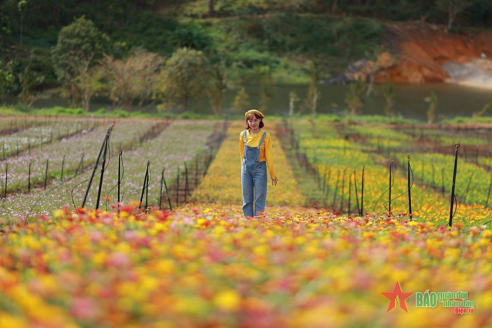 Lạc bước giữa The Florest-Hoa trong Rừng 