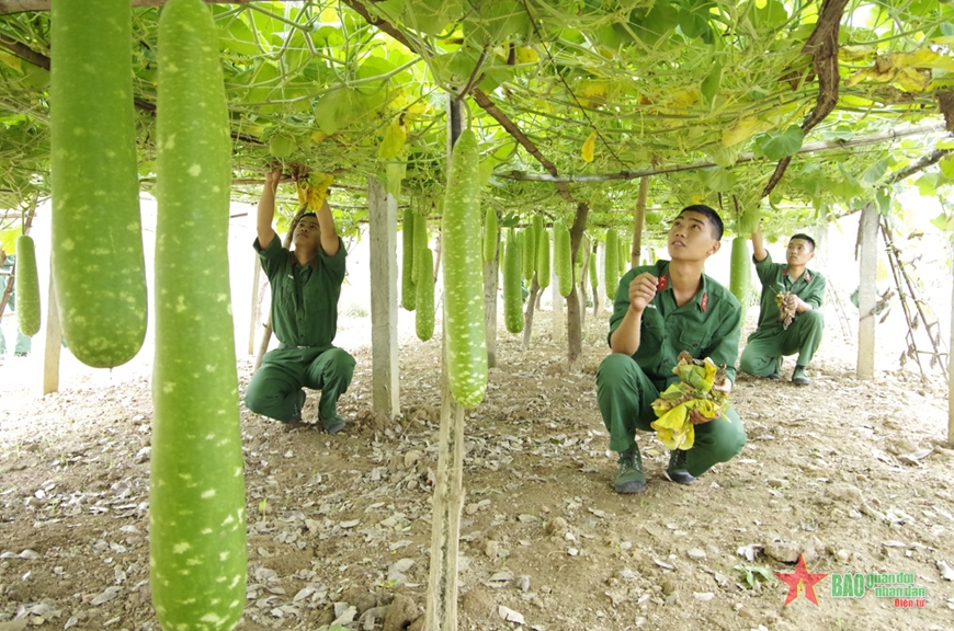 Sư đoàn 312 (Quân đoàn 1) sẵn sàng đón chiến sĩ mới