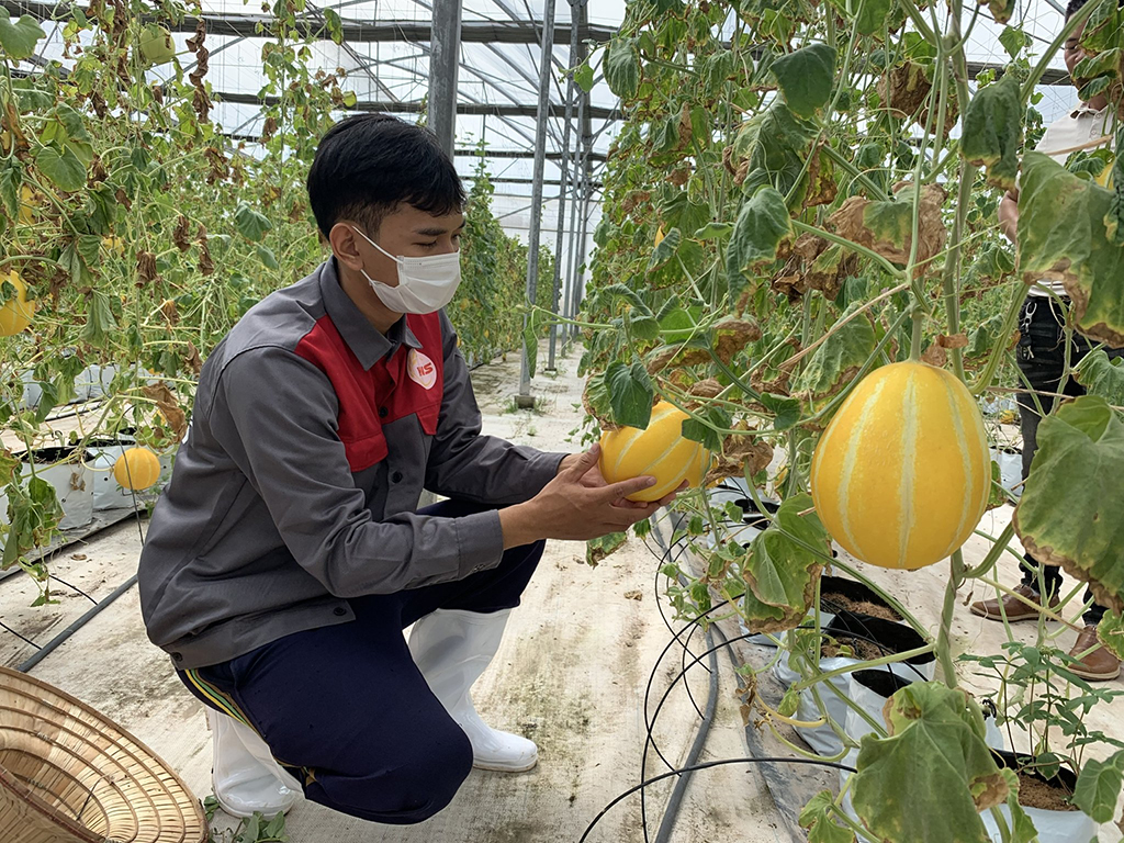 Chìa khóa để doanh nghiệp phát triển bền vững