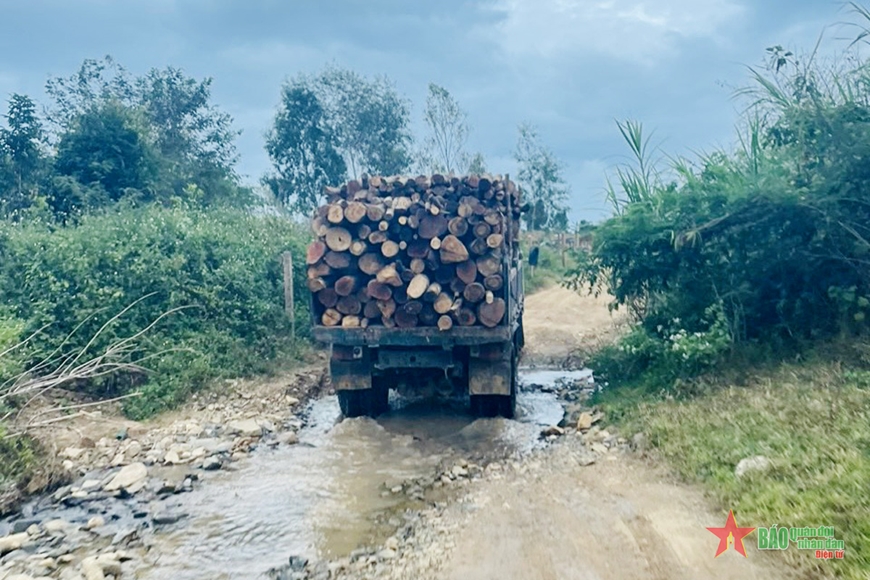  Ngang nhiên vận chuyển gỗ lậu giữa ban ngày