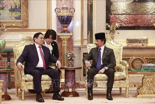 Thủ tướng Chính phủ Phạm Minh Chính hội đàm với Quốc vương Brunei 