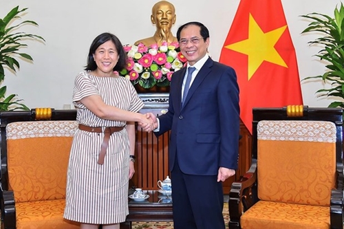 Bộ trưởng Ngoại giao Bùi Thanh Sơn tiếp Đại diện Thương mại Hoa Kỳ Katherine Tai