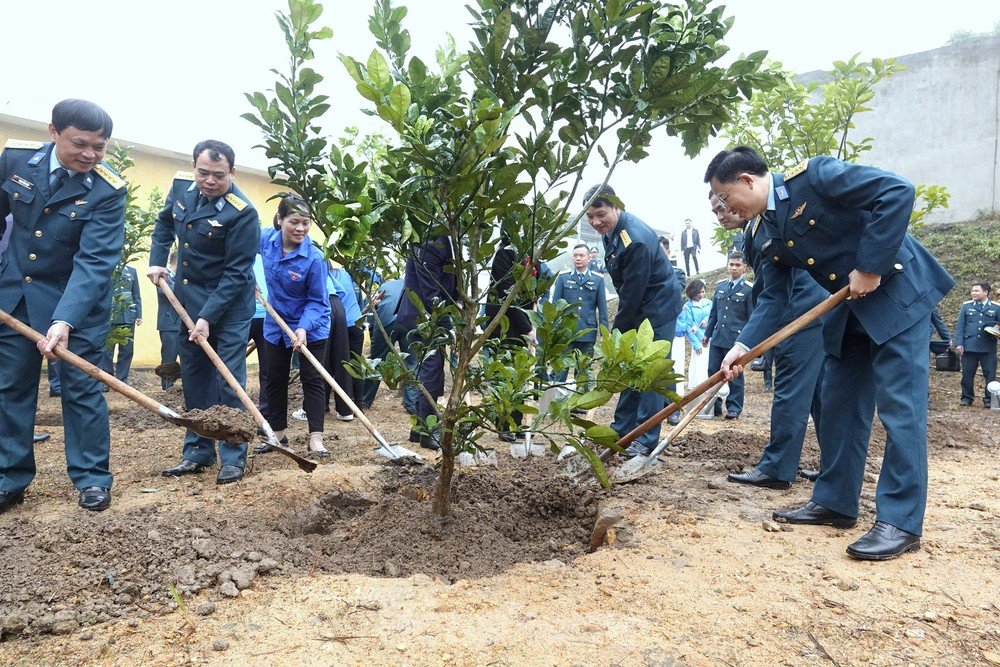 Thiết thực Tết trồng cây ở Sư đoàn 363