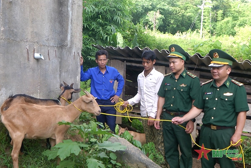 Hiệu quả mô hình "Dê giống khởi nghiệp"