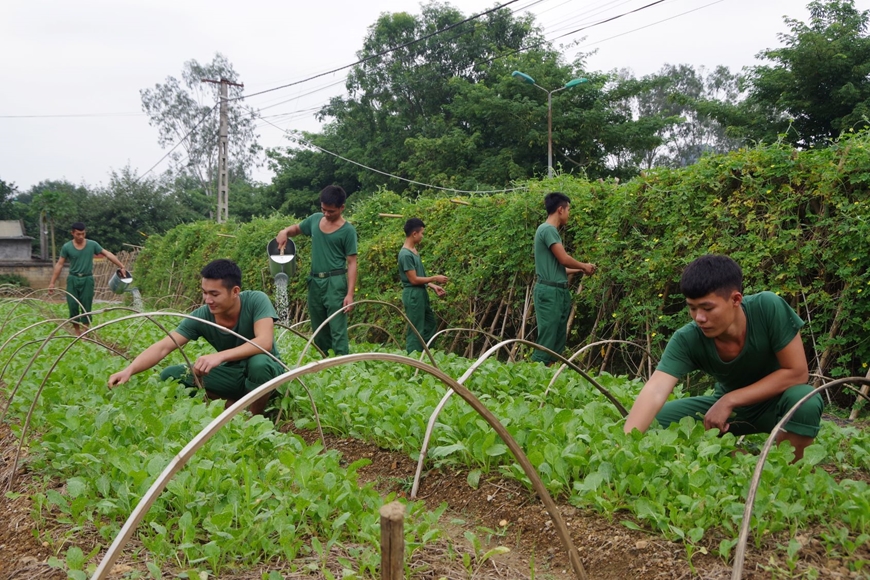 “5 không” ở Trung đoàn 335