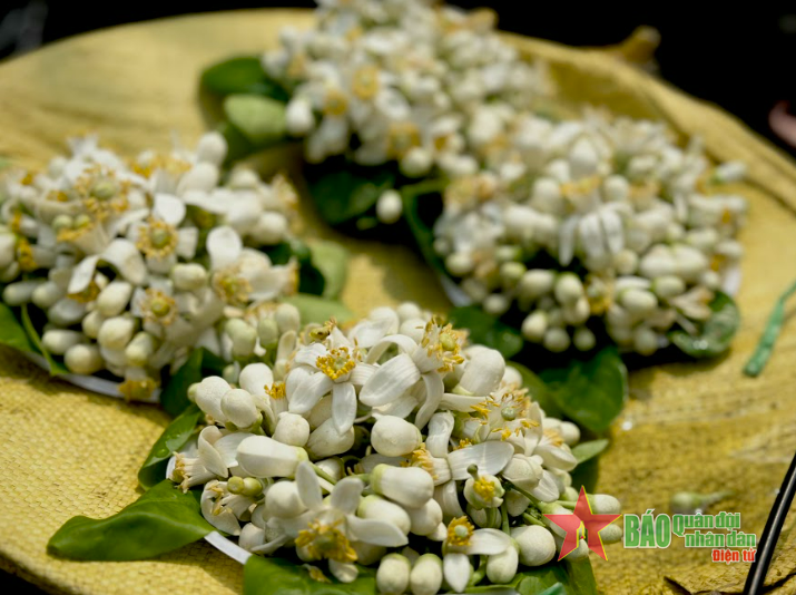 Nồng n&agrave;n hương bưởi th&aacute;ng Ba