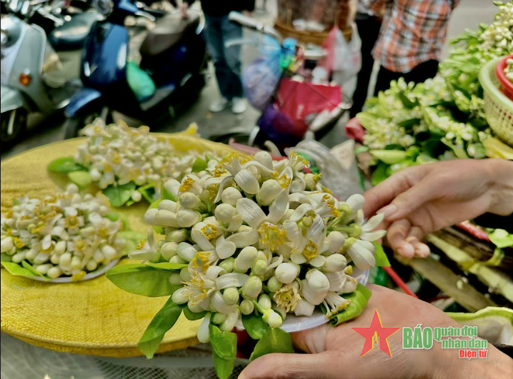 Nồng n&agrave;n hương bưởi th&aacute;ng Ba