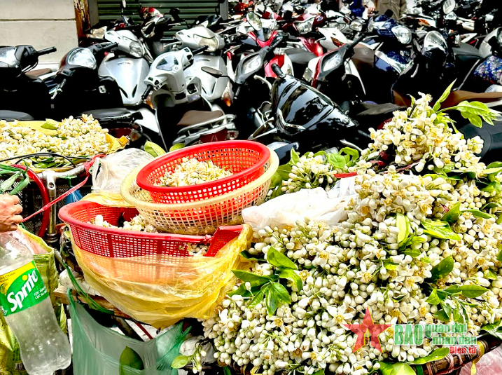 Nồng n&agrave;n hương bưởi th&aacute;ng Ba
