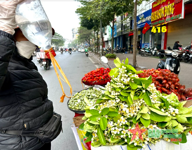 Nồng n&agrave;n hương bưởi th&aacute;ng Ba