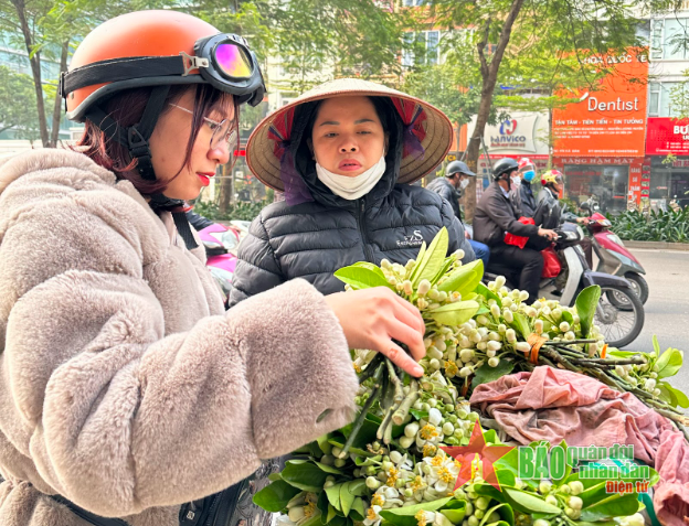 Nồng n&agrave;n hương bưởi th&aacute;ng Ba