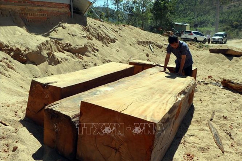 Các hộp gỗ lậu vừa được khai thác, tập kết tại mỏ khai thác cát, sỏi 87 thuộc xã Đắk Pxi, huyện Đắk Hà, tỉnh Kon Tum.  