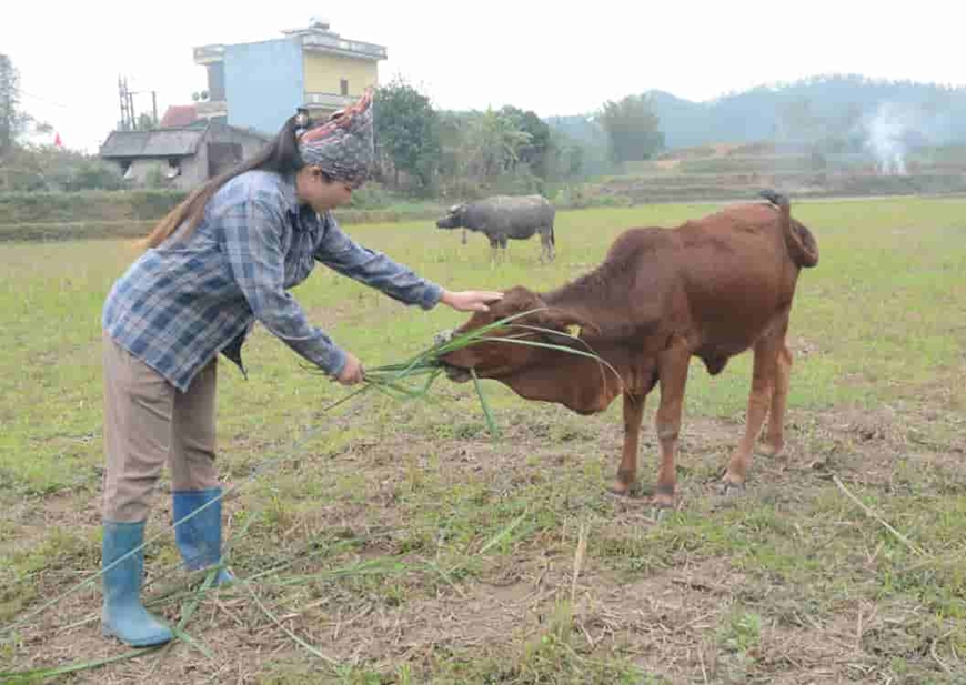 Bộ đội vùng biên giúp dân vượt khó, thoát nghèo