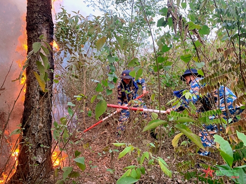 Lữ đoàn 147 tham gia chữa cháy rừng tại phường Đại Yên (Hạ Long)