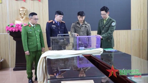 Lai Châu: Bắt giữ đối tượng mua bán động vật hoang dã quý hiếm