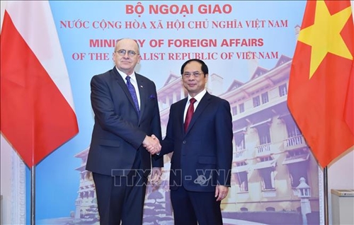 Việt Nam luôn coi trọng và mong muốn tăng cường quan hệ hợp tác nhiều mặt với Ba Lan