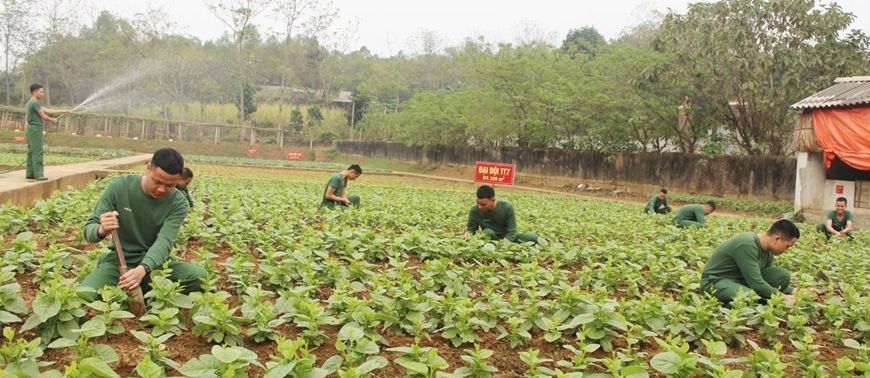 Chuyện luyện rèn ở Lữ đoàn 604