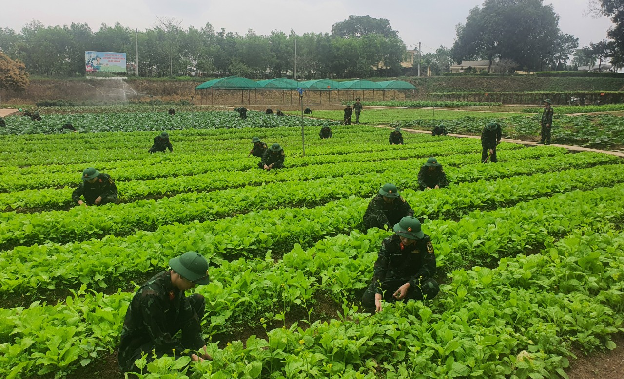 Chủ động, sáng tạo để nâng cao chất lượng phục vụ

