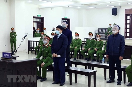 Ông Nguyễn Đức Chung bị khởi tố vì gây thất thoát khi chỉ định trồng cây tại Hà Nội
