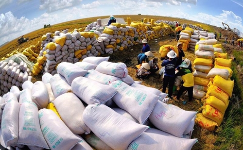 Indonesia nhập khẩu 2 triệu tấn gạo trong năm 2023: Cơ hội cho gạo Việt?