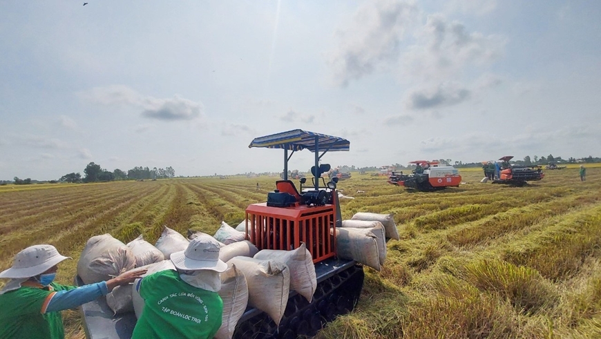 Đề án hay, cần cách làm hiệu quả