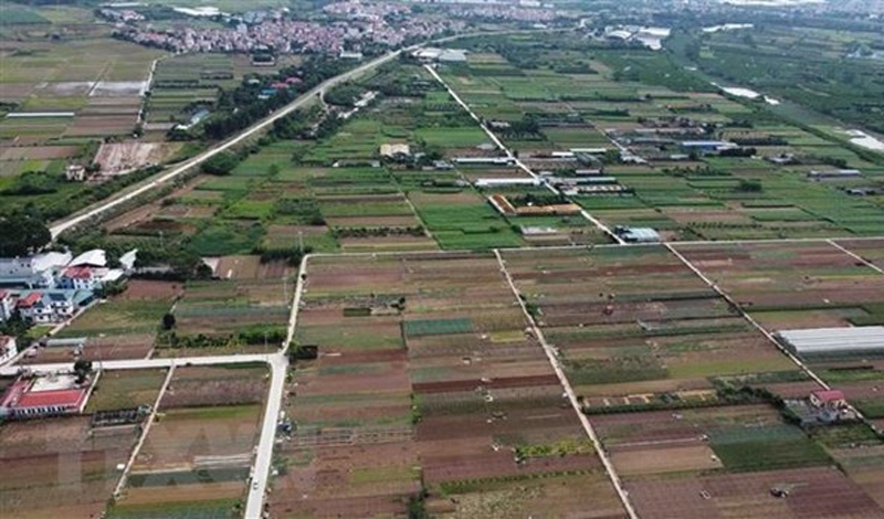 Ảnh minh họa: TTXVN 