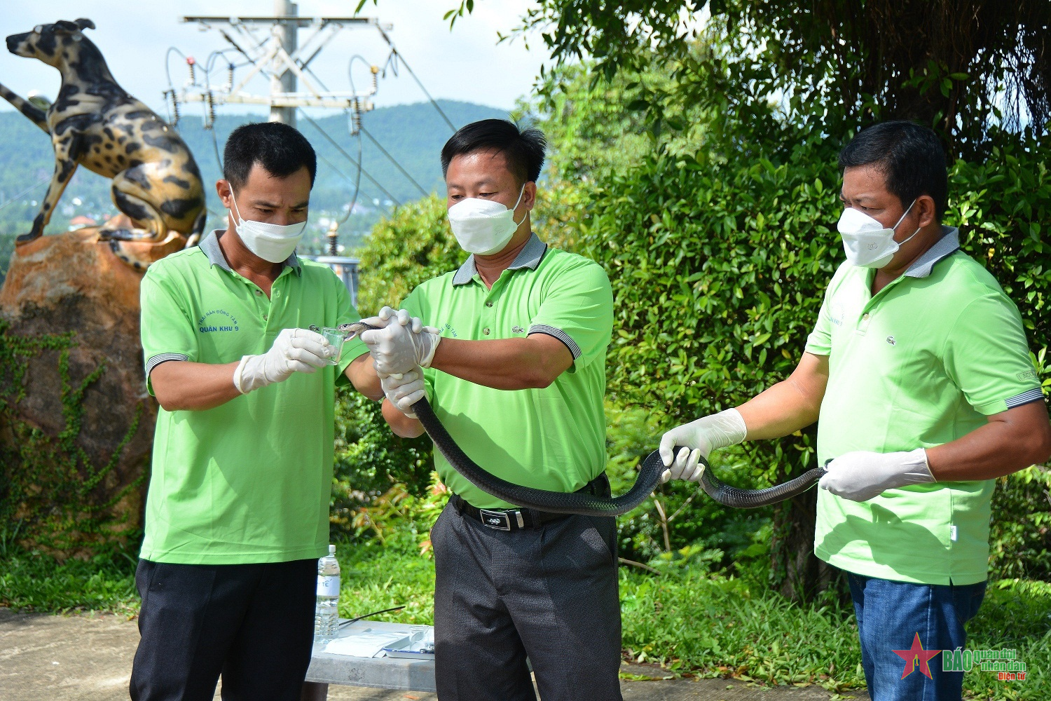 Thăm trại rắn Đồng Tâm