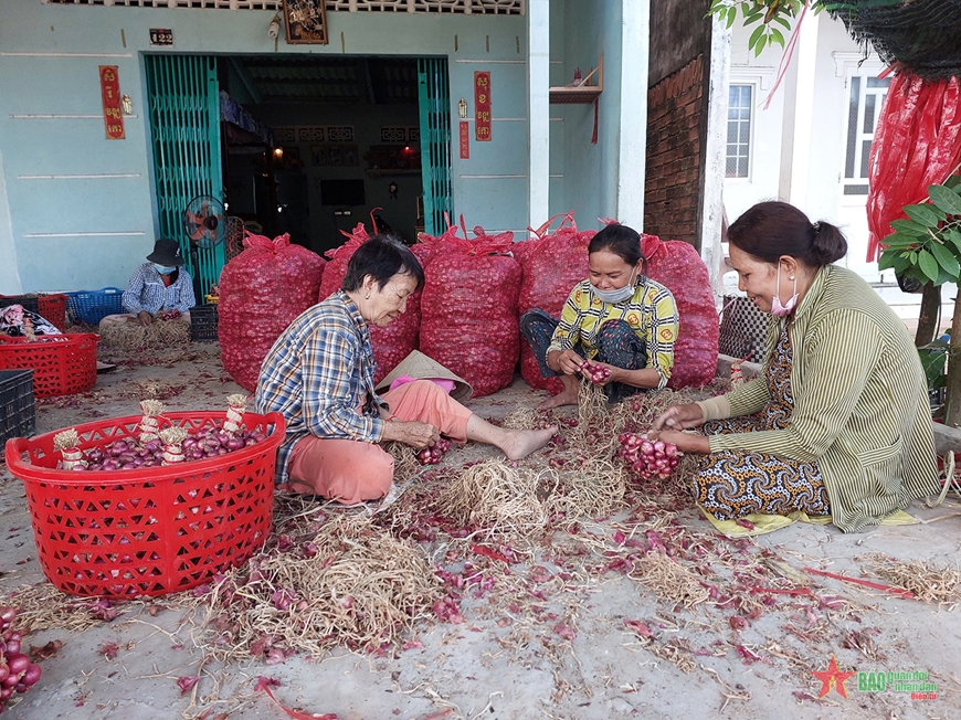 Hành tím- cây chủ lực của bà con thị xã Vĩnh Châu (Sóc Trăng) được giá góp phần cho cái Tết cổ truyền của dân tộc thêm vui tươi.