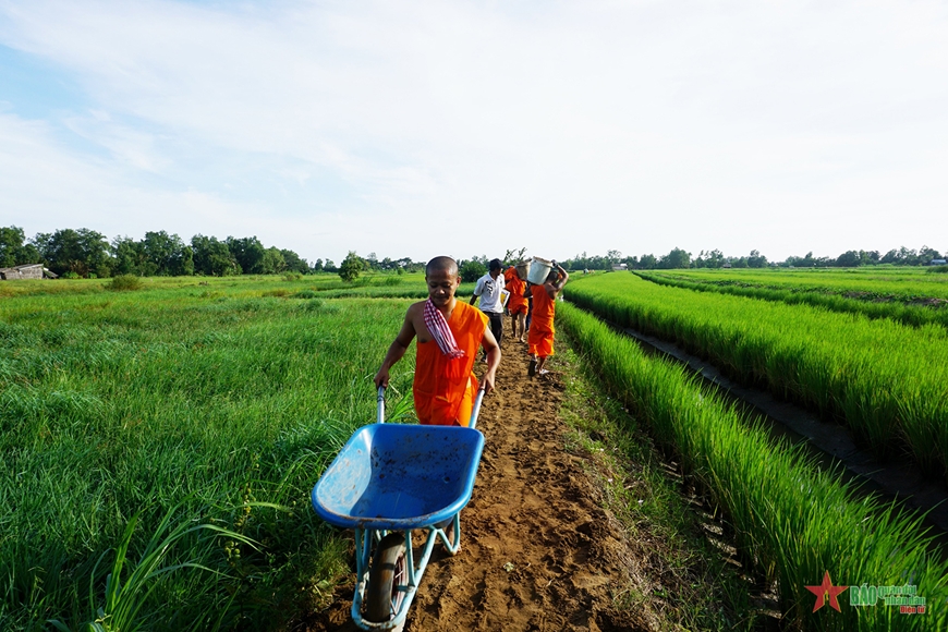 Sư sãi chùa Prếk On Đơk chung tay xây dựng nông thôn mới.