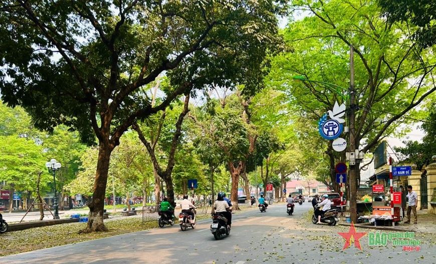 Hà Nội mùa cây thay lá.