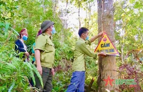 Công tác phòng, chống cháy rừng tại các tỉnh Tây Bắc: Phòng ngừa từ sớm, từ xa

