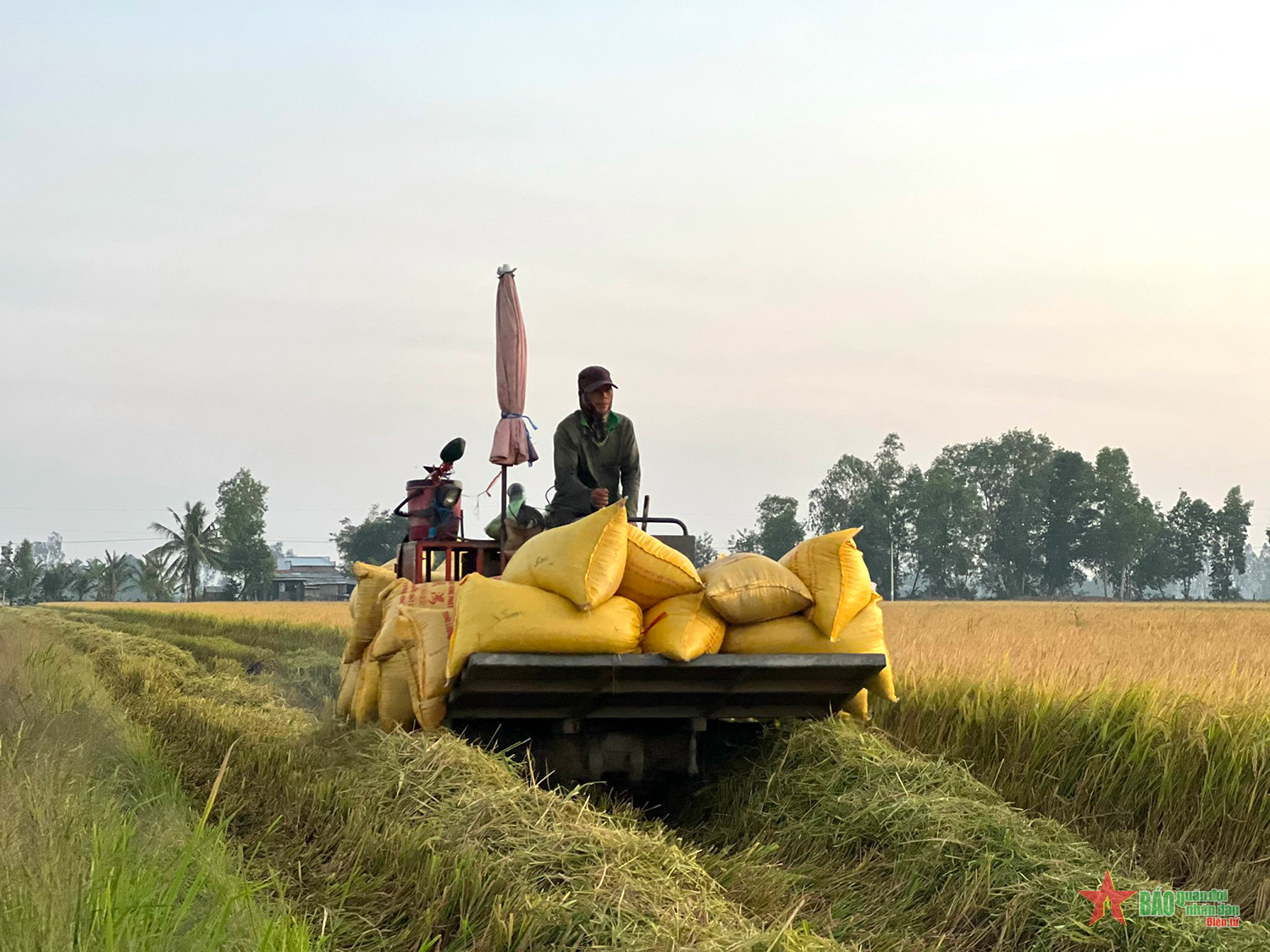 “Lương - chính sách và thực tiễn” - Bài 3: Nông dân - những người chịu thiệt hại khi lương tăng
