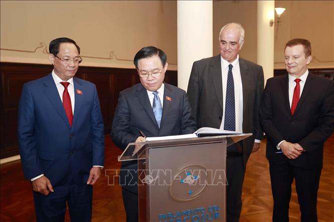 Chủ tịch Quốc hội Vương Đình Huệ hội đàm với lãnh đạo Nghị viện MERCOSUR. 