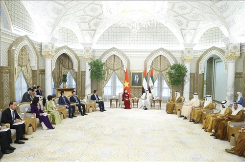 Phó chủ tịch nước Võ Thị Ánh Xuân hội kiến Tổng thống Các Tiểu vương quốc Arab thống nhất Sheikh Mohamed bin Zayed Al Nahyan