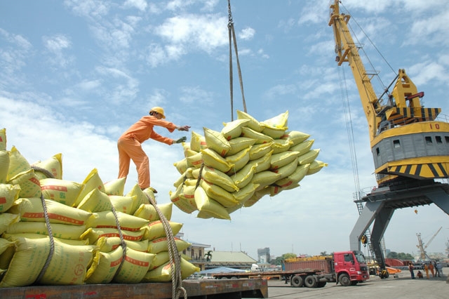  Chỉ có xuất khẩu gạo tiếp tục là điểm sáng nổi bật trong xuất khẩu nhóm hàng nông lâm thủy sản trong tháng 4 khi tăng mạnh cả về lượng và trị giá xuất khẩu. Ảnh minh họa: Bộ Công Thương