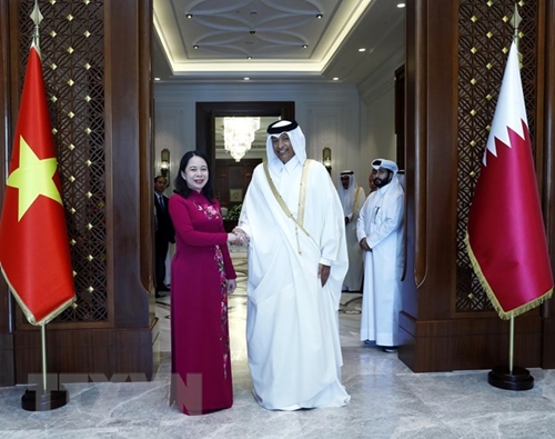 Phó chủ tịch nước Võ Thị Ánh Xuân: Việt Nam mong muốn thúc đẩy quan hệ hợp tác toàn diện với Qatar
