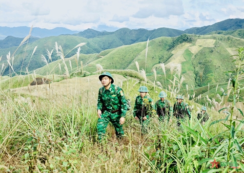 Bộ đội Biên phòng tỉnh Sơn La: Phát huy vai trò nòng cốt, đấu tranh hiệu quả với tội phạm ma túy