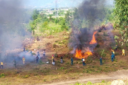 Thị xã Ninh Hòa (Khánh Hòa) : Nâng cao khả năng chữa cháy rừng, cứu nạn

