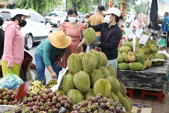 Về Lái Thiêu chiêm ngưỡng mùa trái chín