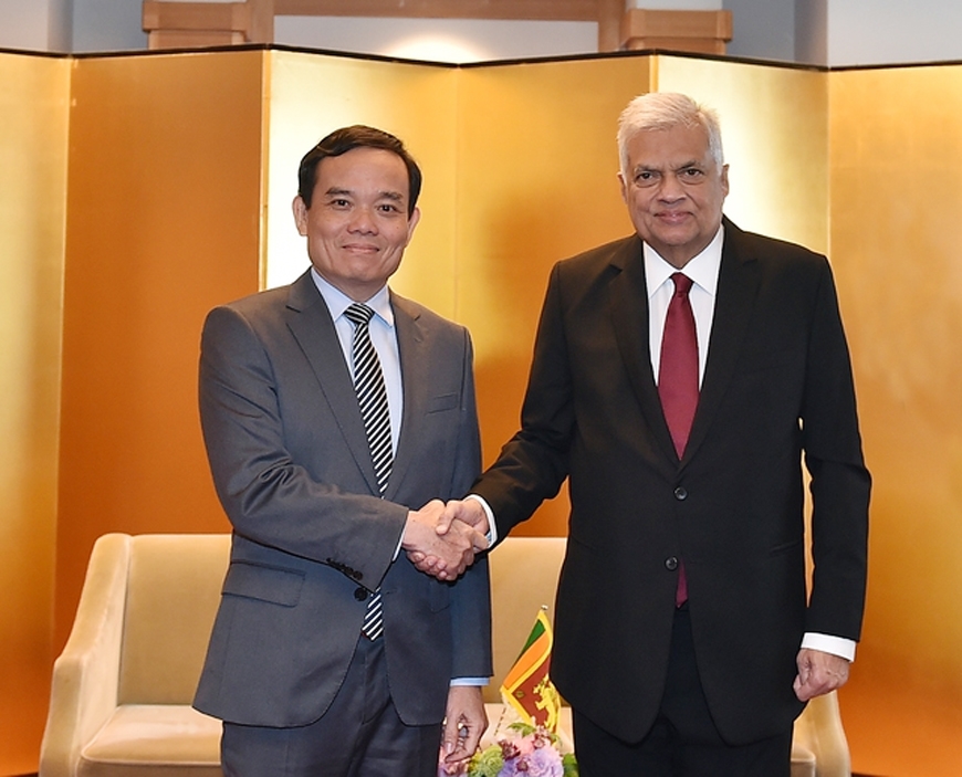 Phó thủ tướng Trần Lưu Quang có cuộc gặp với Tổng thống Sri Lanka Ranil Wickremesinghe. Ảnh: baochinhphu.vn 