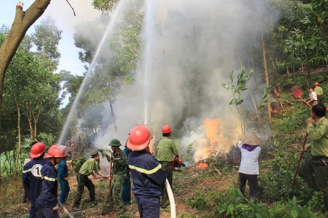 Các vụ cháy rừng gần đây cho thấy, lực lượng tham gia chữa cháy, kể cả lực lượng chuyên trách, chủ yếu sử dụng thiết bị thô sơ. Ảnh minh họa: baochinhphu.vn 