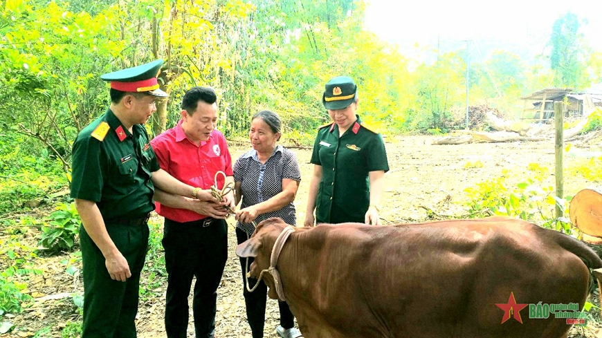 Bộ CHQS tỉnh Tuyên Quang và Hội Chữ thập đỏ tỉnh Tuyên Quang tặng bò giống cho gia đình bà Vũ Thị Nga ở xã Lương Thiện, huyện Sơn Dương.