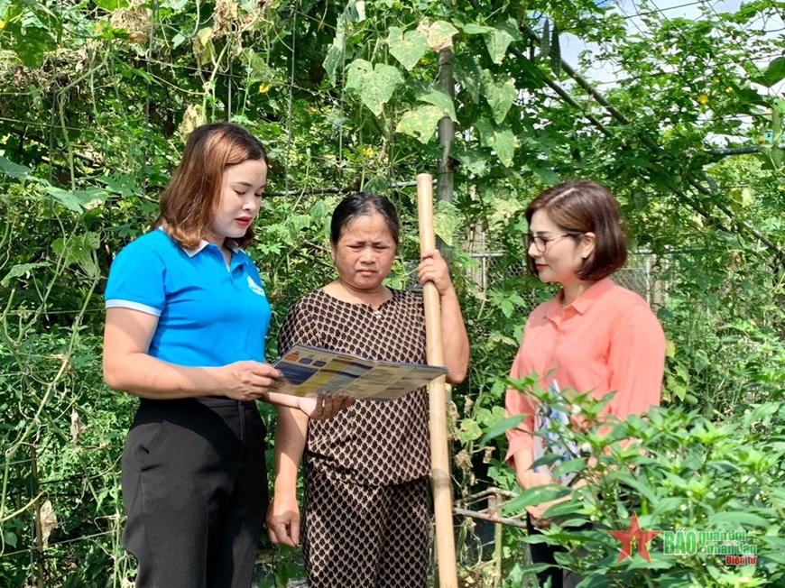 Tham gia CLB Vườn rau an sinh giúp hội viên phụ nữ xã Tượng Sơn (Thạch Hà, Hà Tĩnh) tin tưởng, tích cực tham gia BHXH tự nguyện. Ảnh nguồn: BHXH Việt Nam